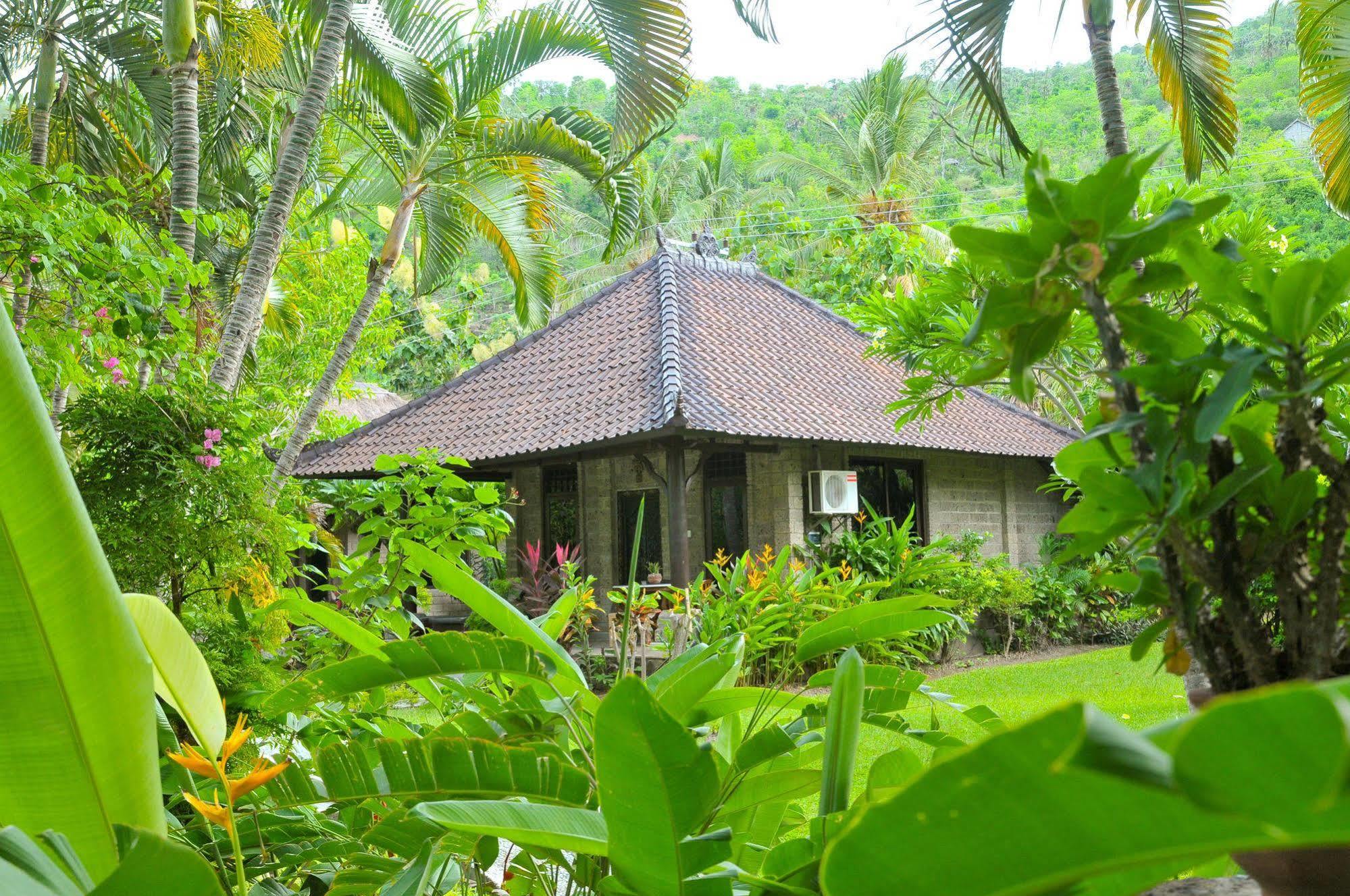 Coral View Villas Amed  Ngoại thất bức ảnh